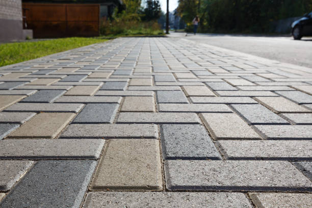 Best Local Driveway Pavers  in Ly Lake, IL