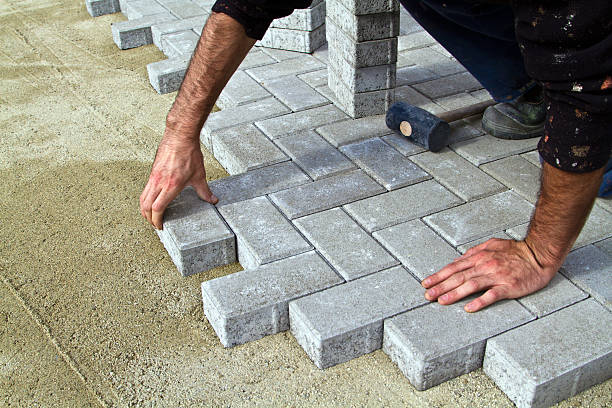 Best Driveway Paving Contractor  in Ly Lake, IL